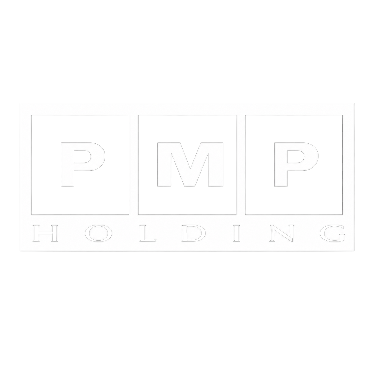 PMP Holding